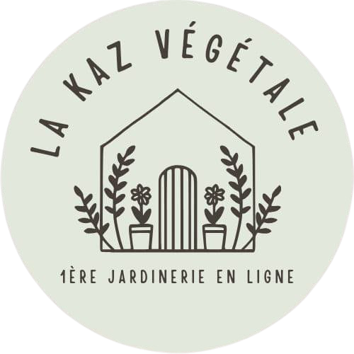 Logo du client LKV